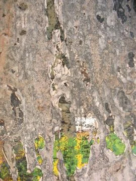 Background texture Stock Photos