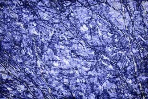 Background texture Stock Photos