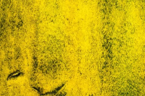 Background texture Stock Photos