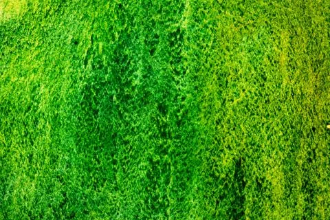 Background texture Stock Photos