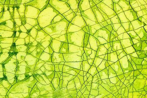 Background texture Stock Photos