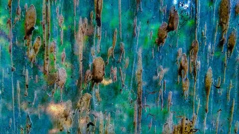 Background | Texture Stock Photos