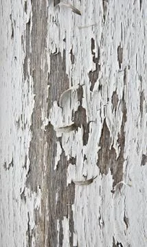 Background texture Stock Photos