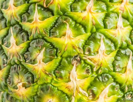 Background texture pineapple husk Stock Photos