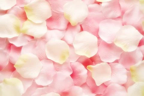 Background texture of pink and white rose petals Foto stock