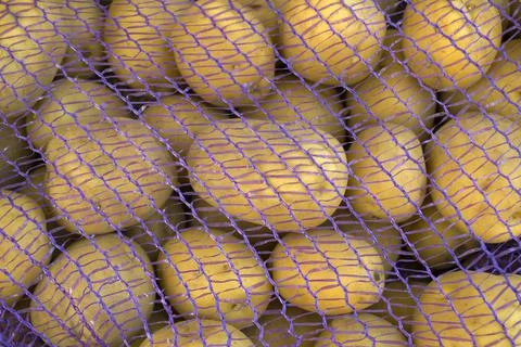 Background, texture, potatoes in the grid. Stock Photos