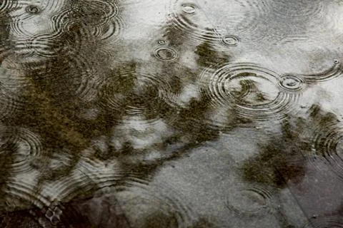 Background texture of raindrops in a puddle Stock Photos