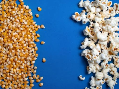 Background texture of ready popcorn and corn kernels on a blue background Stock Photos