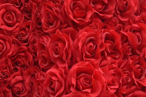 Background texture of red artificial rose Stock Photos