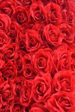 Background texture of red artificial rose Stock Photos