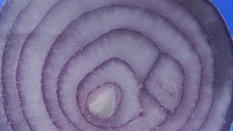 Background texture of red onion. Raw and juicy vegetable texture. Freshslice Stock Footage 126621078