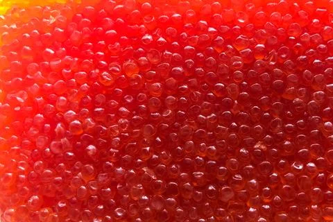 Background texture of red salmon caviar. Stock Photos