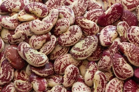 Background texture of red speckled October beans, food background Stock Photos