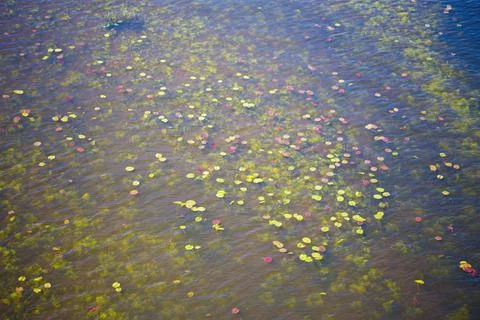 Background as a texture from a repeating pattern Foto stock