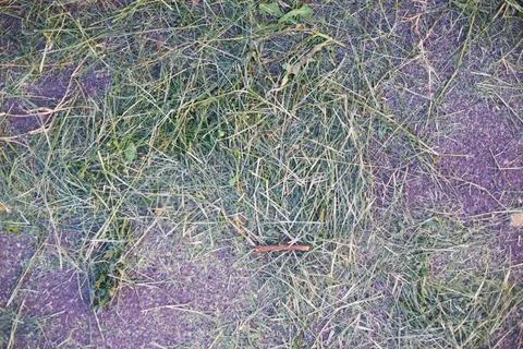 Background as a texture from a repeating pattern Stock Photos