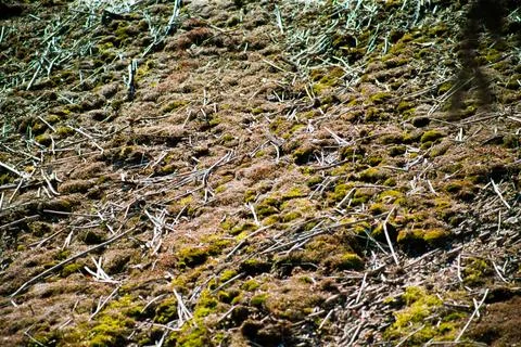 Background as a texture from a repeating pattern Foto stock