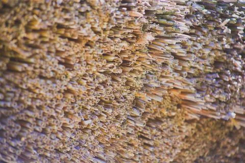 Background as a texture from a repeating pattern Stock Photos