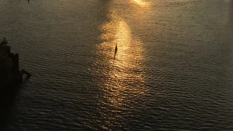 Background texture ripples on the water in the river with golden rays of the sun Stock Footage 161006262