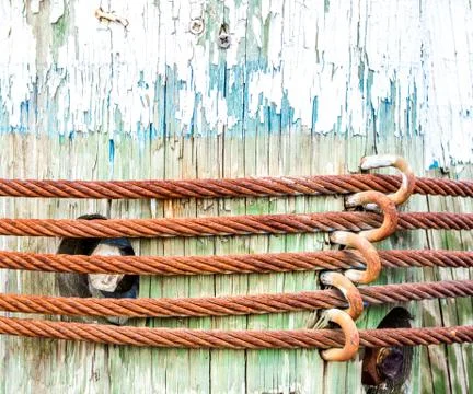 Background texture rusted cables on painted wood Stock Photos