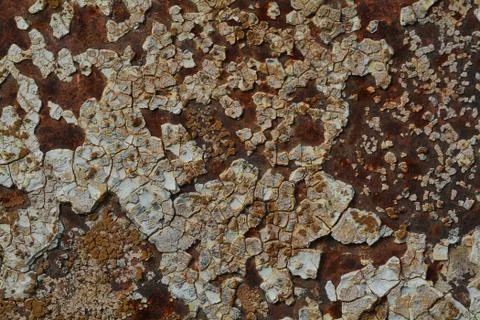 Background texture of Rusted steel Stock Photos