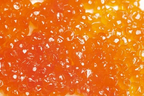 Background texture of salmon fish red caviar. Stock-Fotos