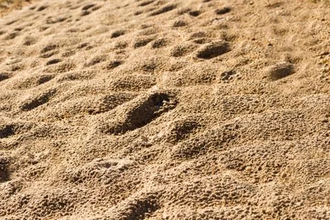 Background with texture of sand and dune in the summer Stock Photos