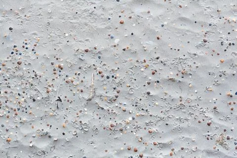 Background with a texture of sand gray shells and with traces of birds on the Stock Photos