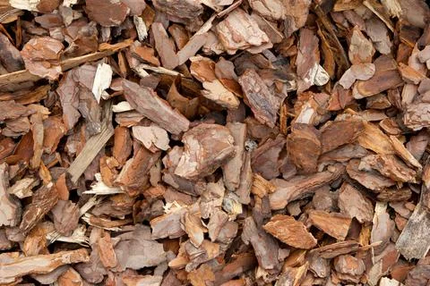 Background texture of scattering of pine bark chips. Stock Photos