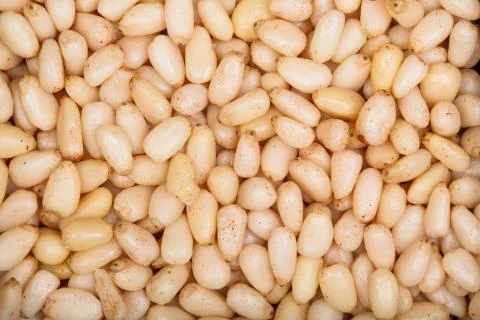 Background texture of shelled pine nuts. Stock Photos