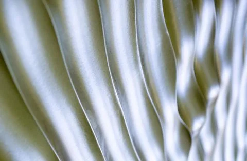 Background texture silver rippling metal Stock Photos