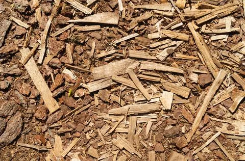 Background texture of small wood chips and bark. Stock Photos