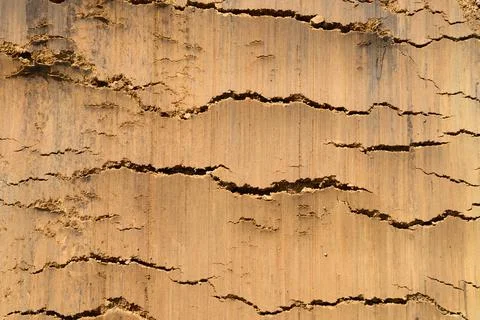 Background texture from the smooth surface of the sand. top view. banner Stock Photos