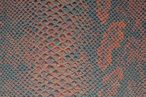 Background texture of snake skin bright red and green 写真素材