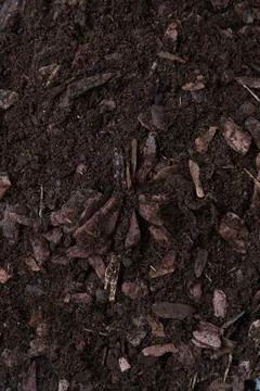 Background, texture of soil for orchids. Top view of the fertile grung. Land Stock Photos