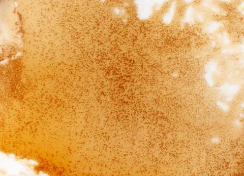 Background texture of a spilled brown liquid with splashes Stock Photos