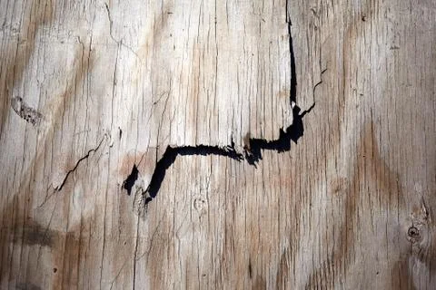 Background texture of splintering wood Foto stock