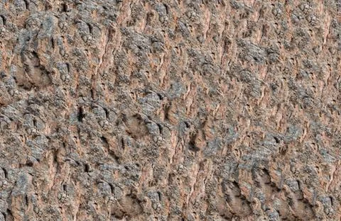 Background texture of the stone brown uneven rough in the drawing channels in Stock Photos