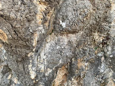 Background, texture, stone natural gray surface natural sharp convex rough co Stock Photos