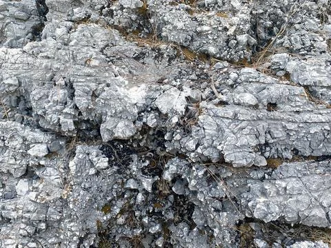 Background, texture, stone natural gray surface natural sharp convex rough co 스톡 사진