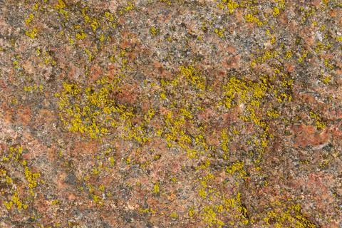 Background texture stone red brown grey raw Stock Photos
