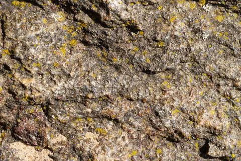 Background texture stone red brown grey raw Stock Photos