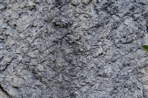 Background with the texture of stone, shell rock or sandstone. To close Stock Photos