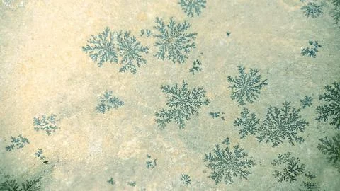 Background texture of a stone surface with a natural natural pattern Stock Photos