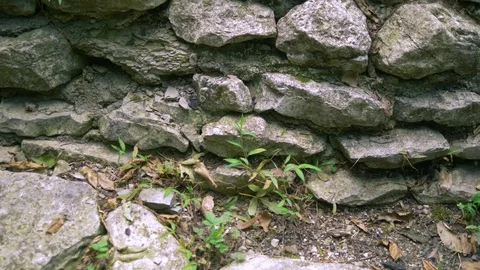 Background texture of a stone wall with grass and moss Stock-Footage 113968468