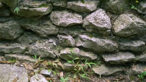 Background texture of a stone wall with grass and moss Stockfoto's