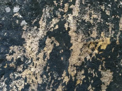 Background texture of stone wall., Marble green surface. Stock Photos