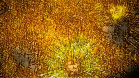 Background texture surface golden wall various movements, Stock Footage 133872683