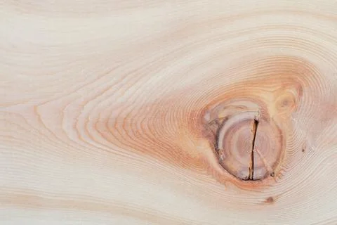 Background texture. Surface of a larch edged board with knot on cut. Wood tex Foto stock
