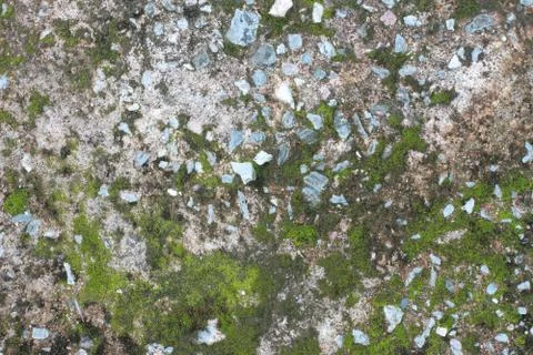 Background texture: the surface of old concrete slab covered with moss or alg Stock Photos