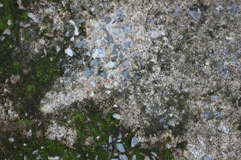 Background texture: the surface of old concrete slab covered with moss or alg Stock Photos